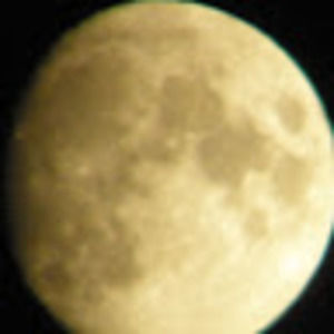 Meet your Posher, Sean